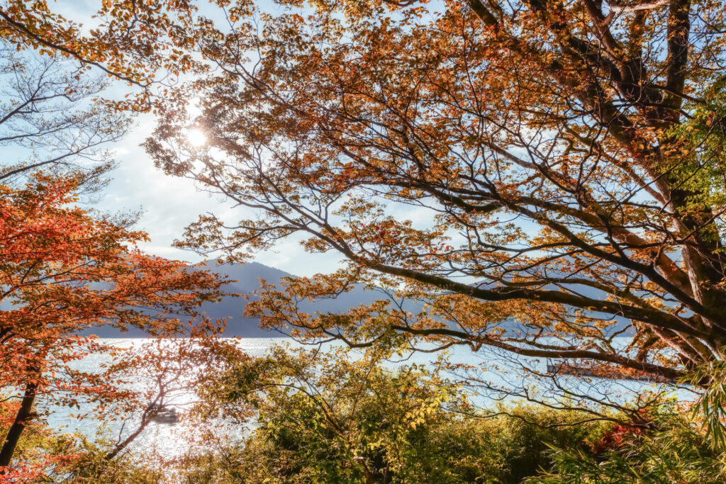 箱根の紅葉の見頃とアクセス