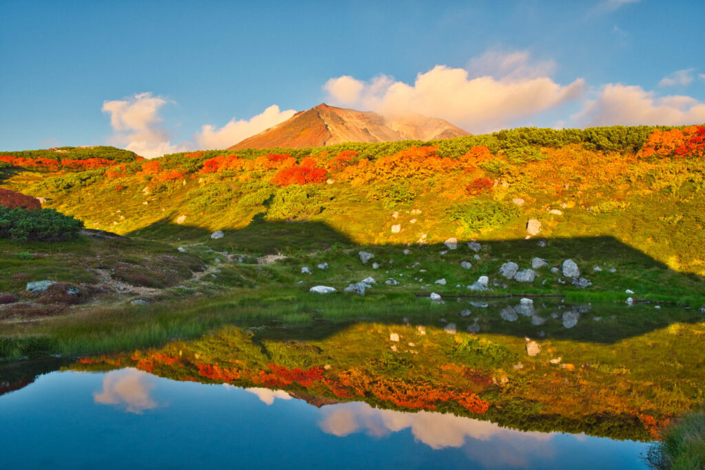 大雪山・旭岳の紅葉