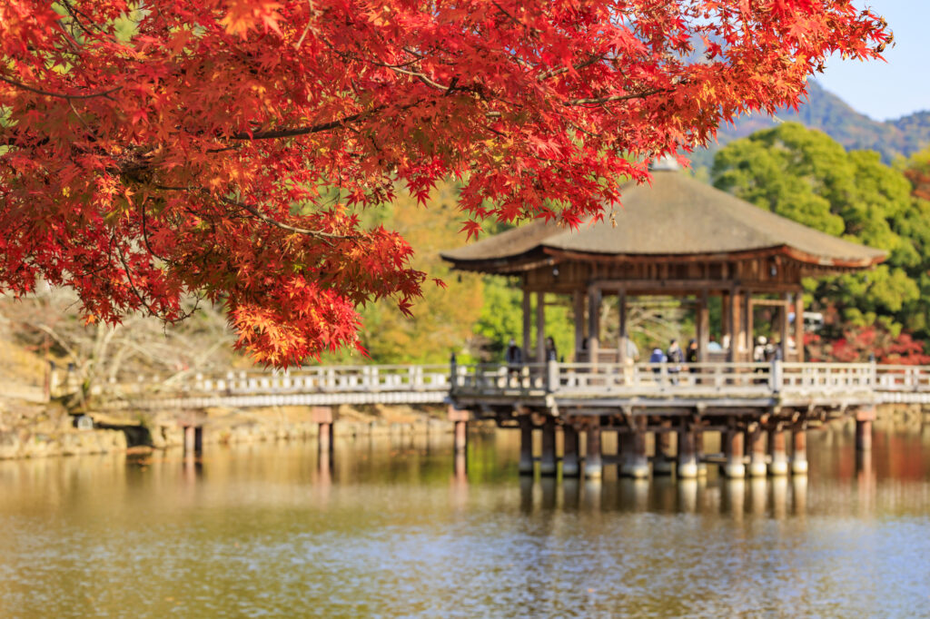 紅葉真っ盛りの奈良公園浮御堂