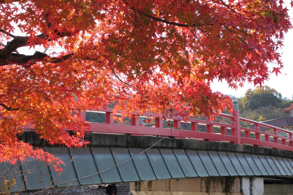 赤い橋と紅葉の景色