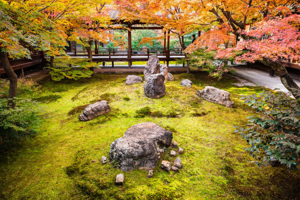 建仁寺　紅葉