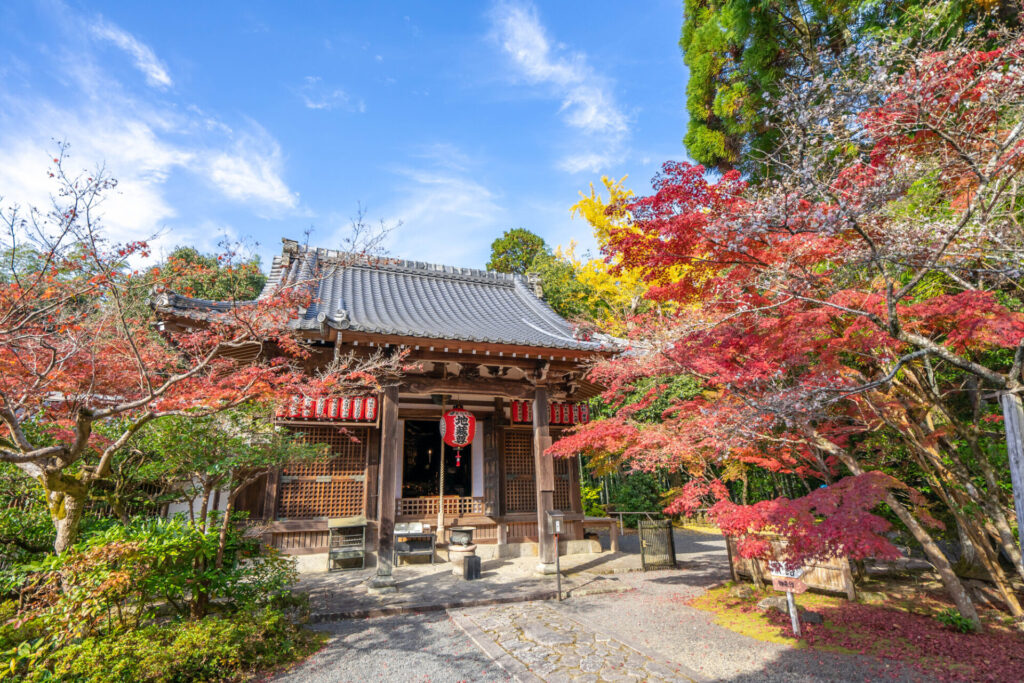 赤山禅院の紅葉