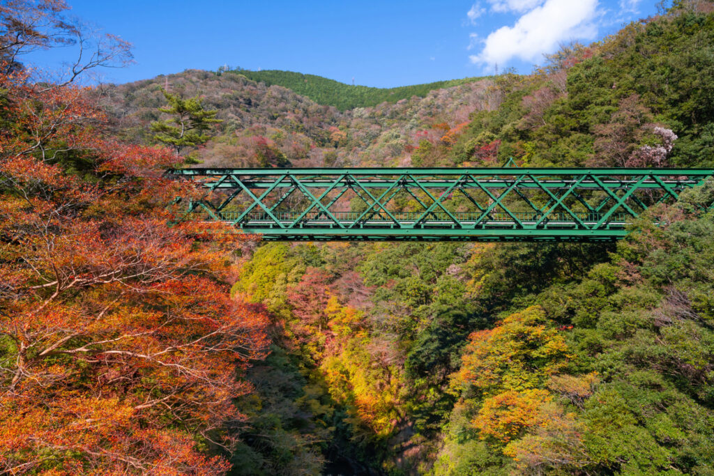 箱根の紅葉で一日を満喫しましょう