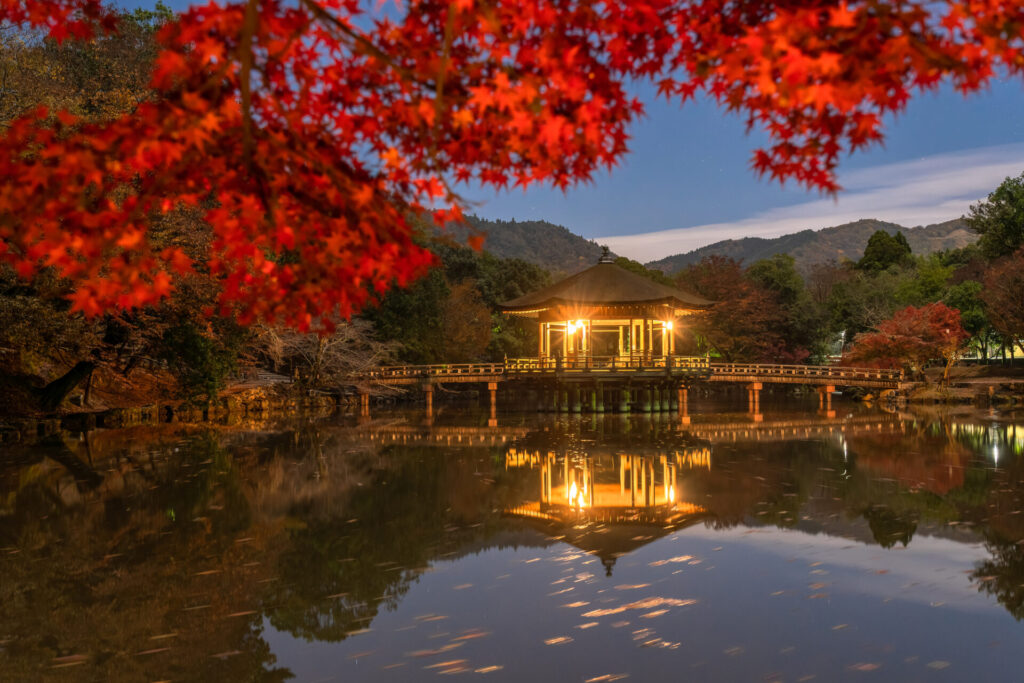 奈良 紅葉 時期_秋の奈良を楽しむための旅