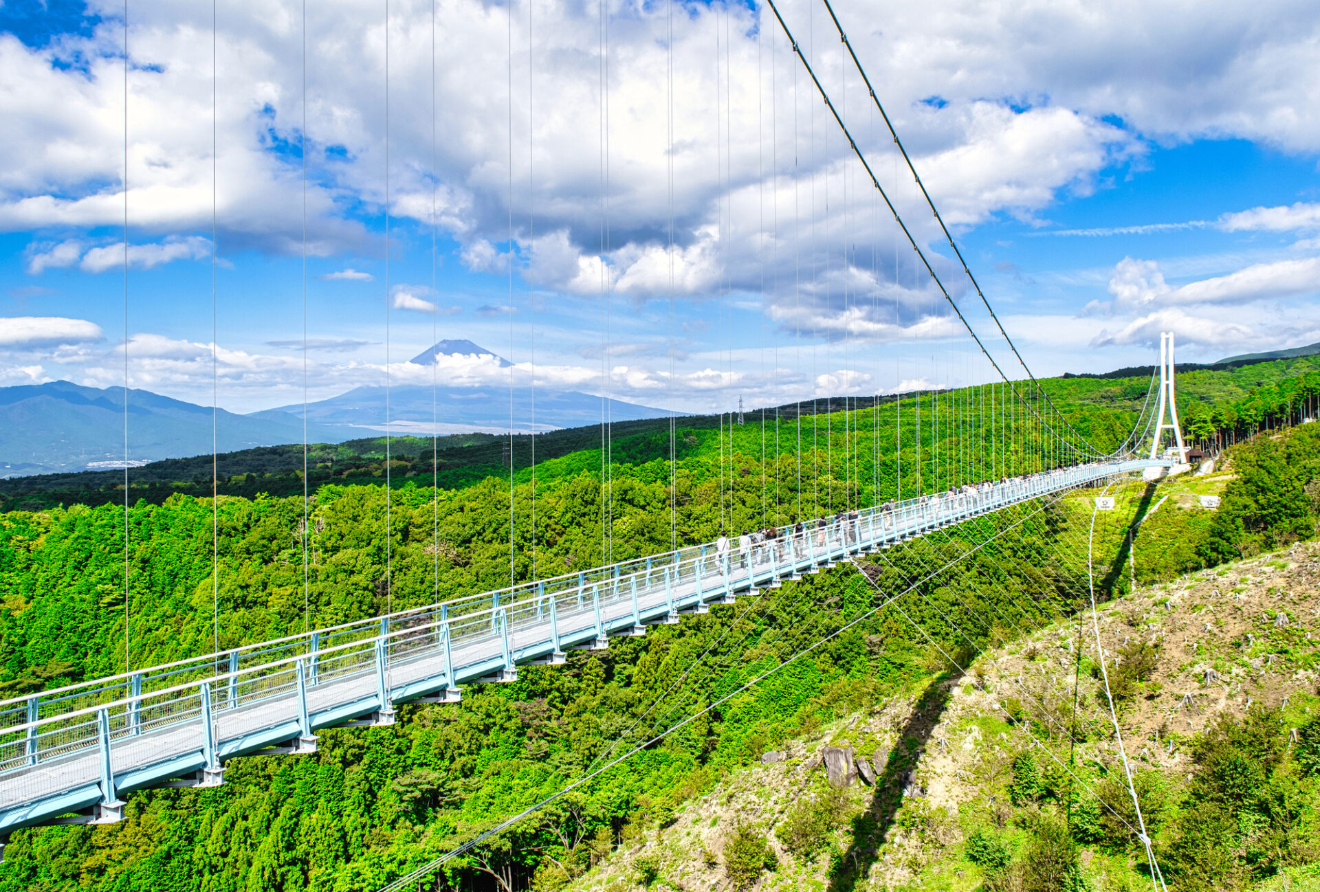 三島スカイウォーク　全長400mの日本一長い吊橋