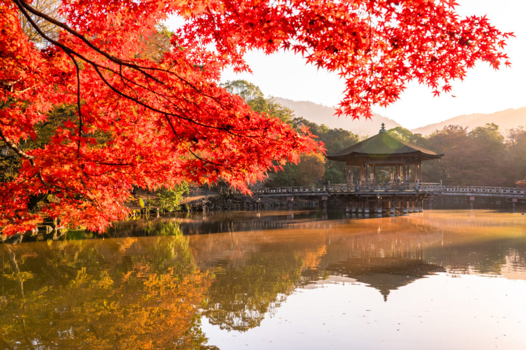 浮見堂の紅葉(例年の見頃:10月下旬~)