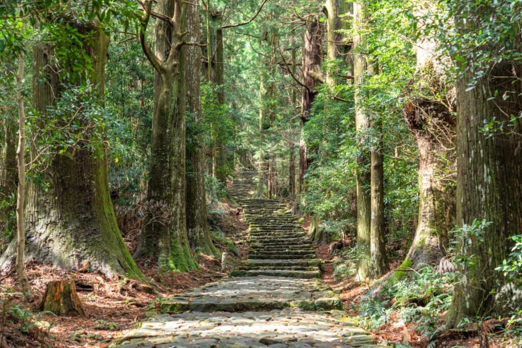 緑が生い茂る熊野古道・大門坂