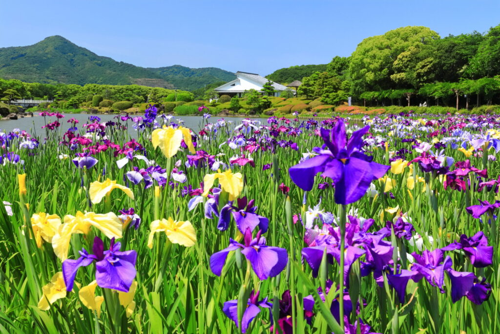 まとめ｜宇和島の観光は自然と歴史の二つが満喫できます
