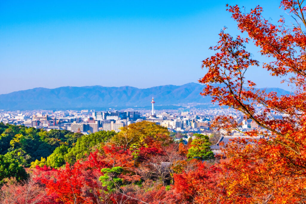京都清水寺から望む絶景紅葉