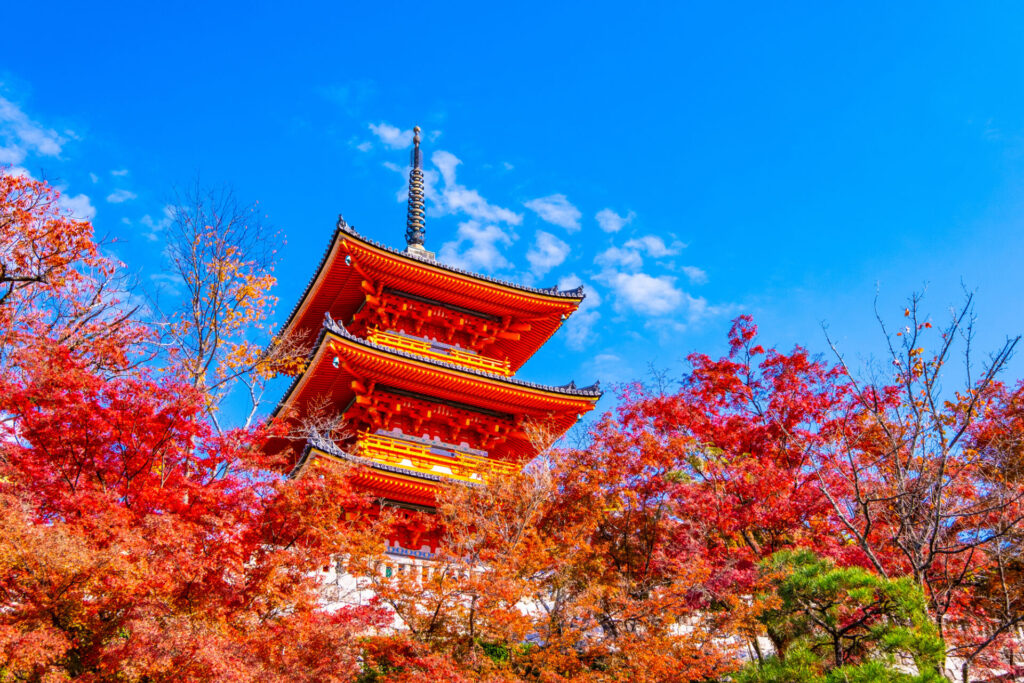 清水寺三重塔と紅葉