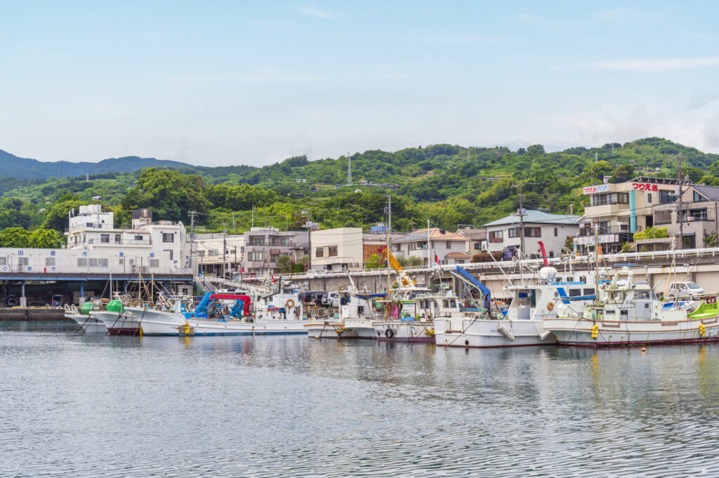 早川漁港で海鮮ランチ