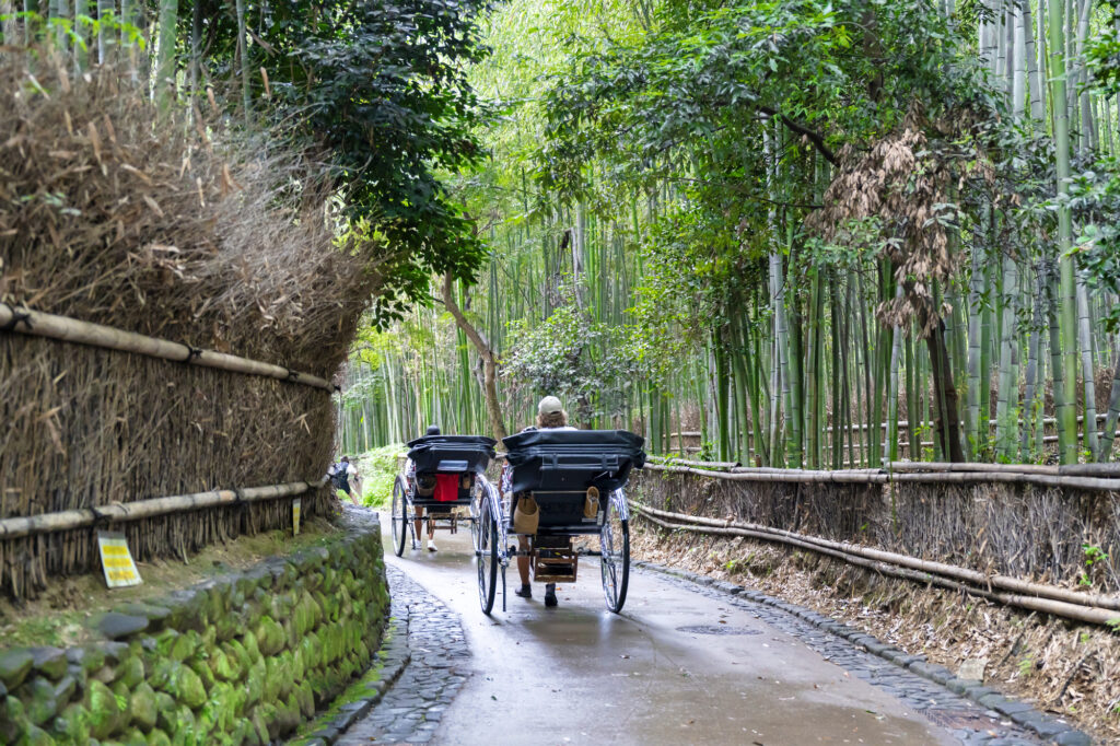 嵐山の竹林の小径と人力車