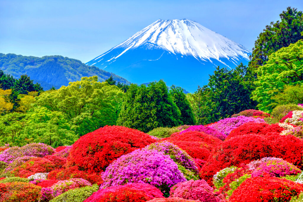 富士を望む庭園