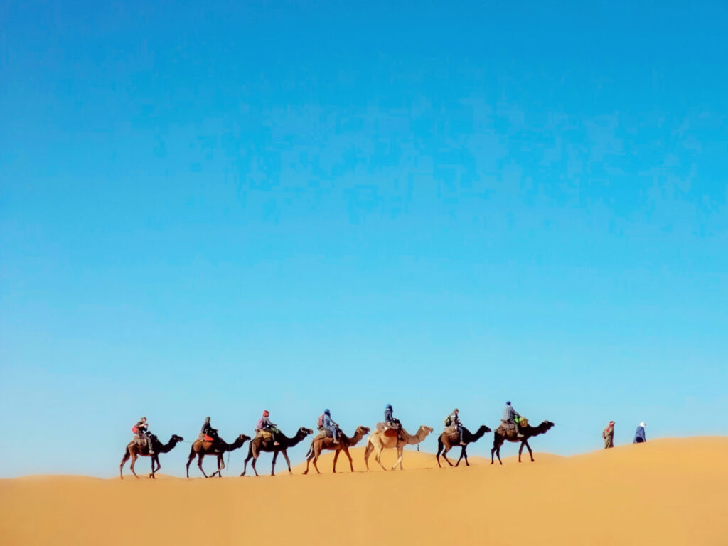 サハラ砂漠のラクダツアー