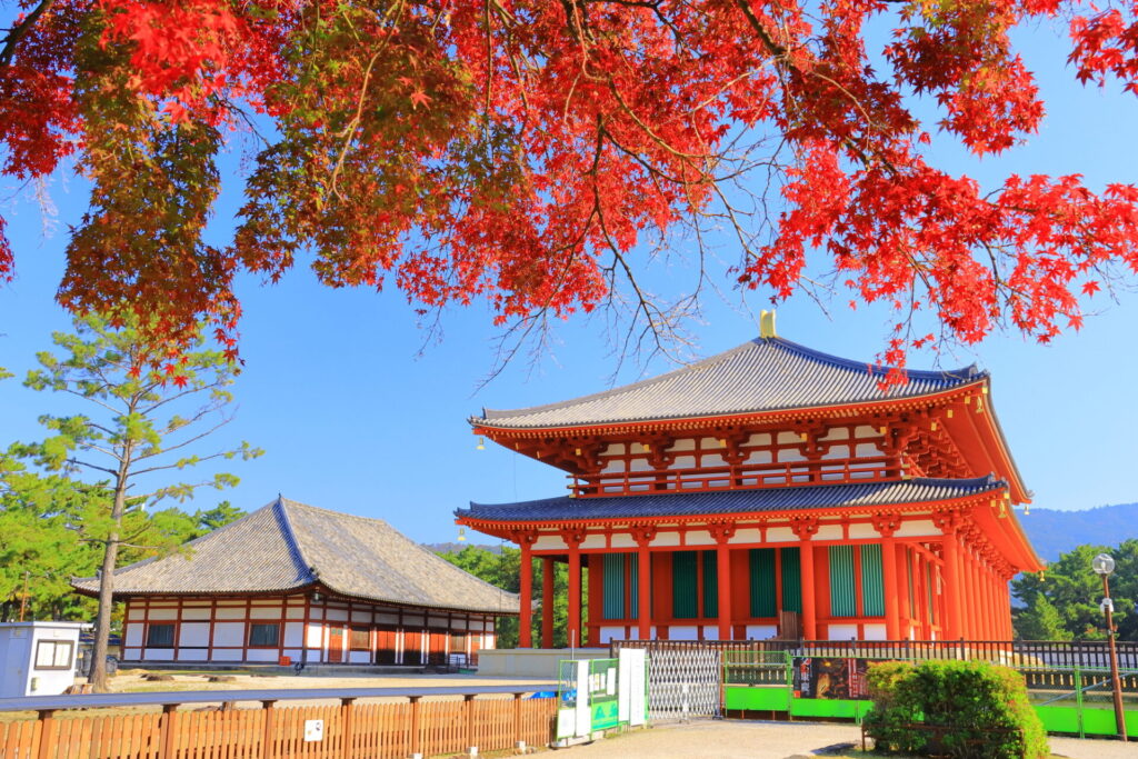 明日香村観光で訪れたい奈良公園