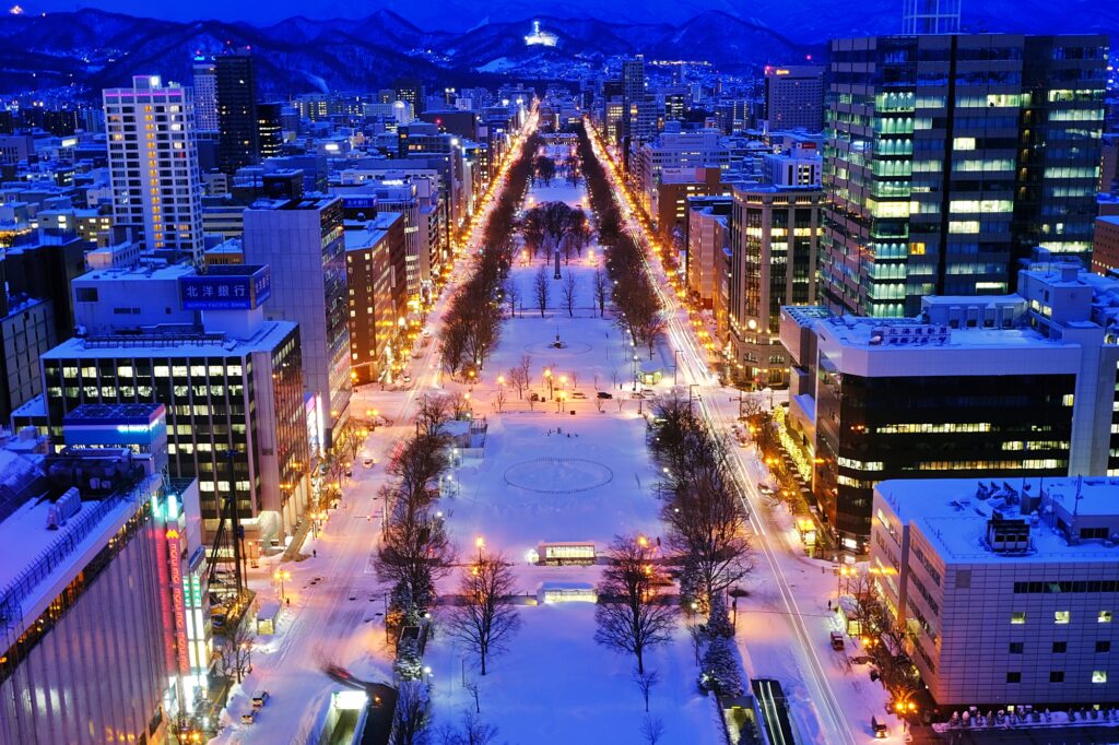 冬の雪が積もる札幌大通公園の夜景