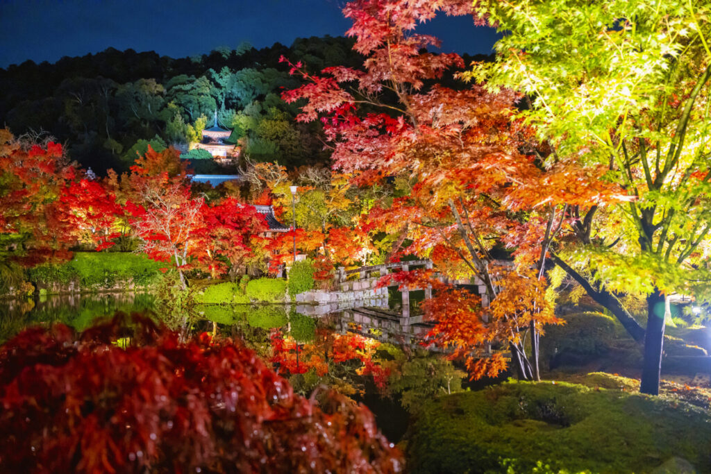秋の禅林寺の紅葉