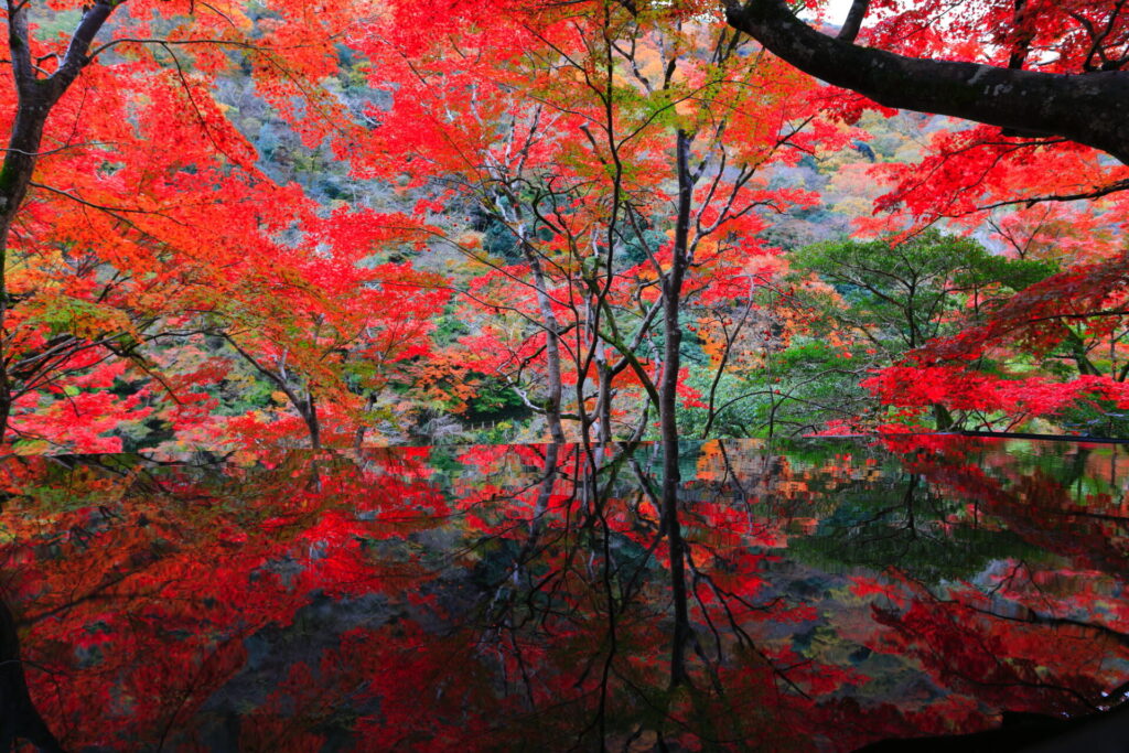 嵐山祐斎亭の水鏡と紅葉