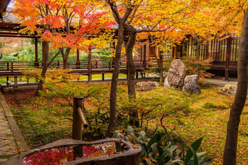 京都紅葉