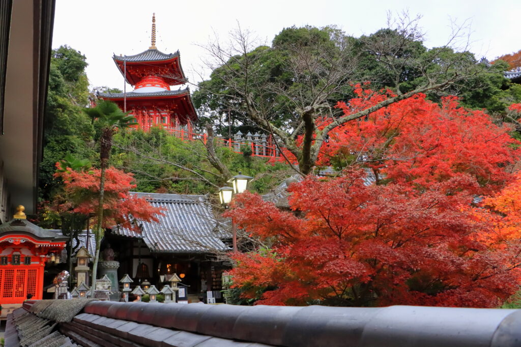 奈良の紅葉穴場スポットとその見頃