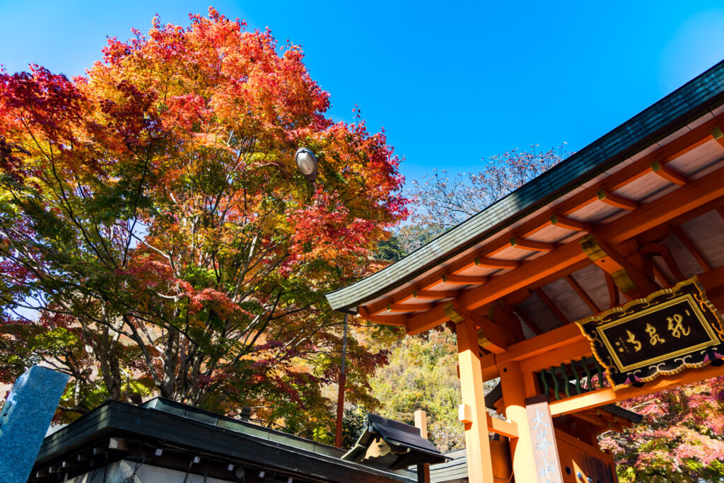 龍泉寺の紅葉(例年の見頃:10月下旬~)