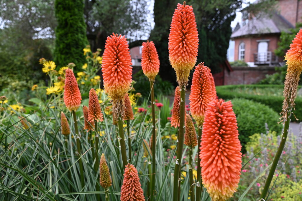 クライストチャーチ植物園