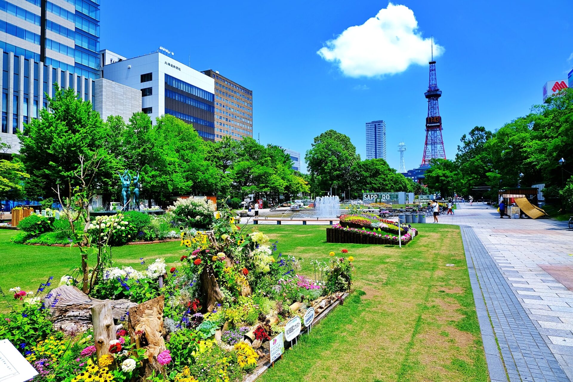 晴天の札幌大通公園と花壇に咲く花