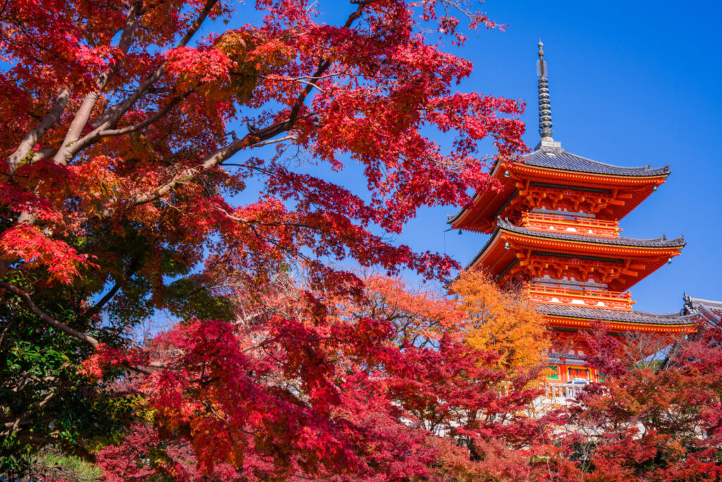 京都と紅葉