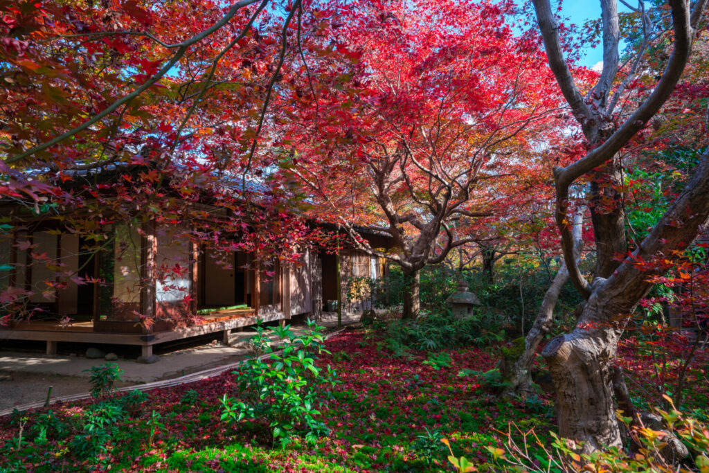 福島の渓谷で紅葉を周るコース