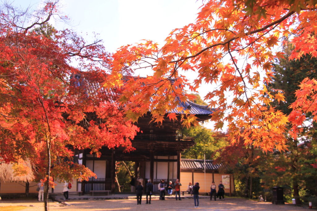 紅葉越しに見る神護寺