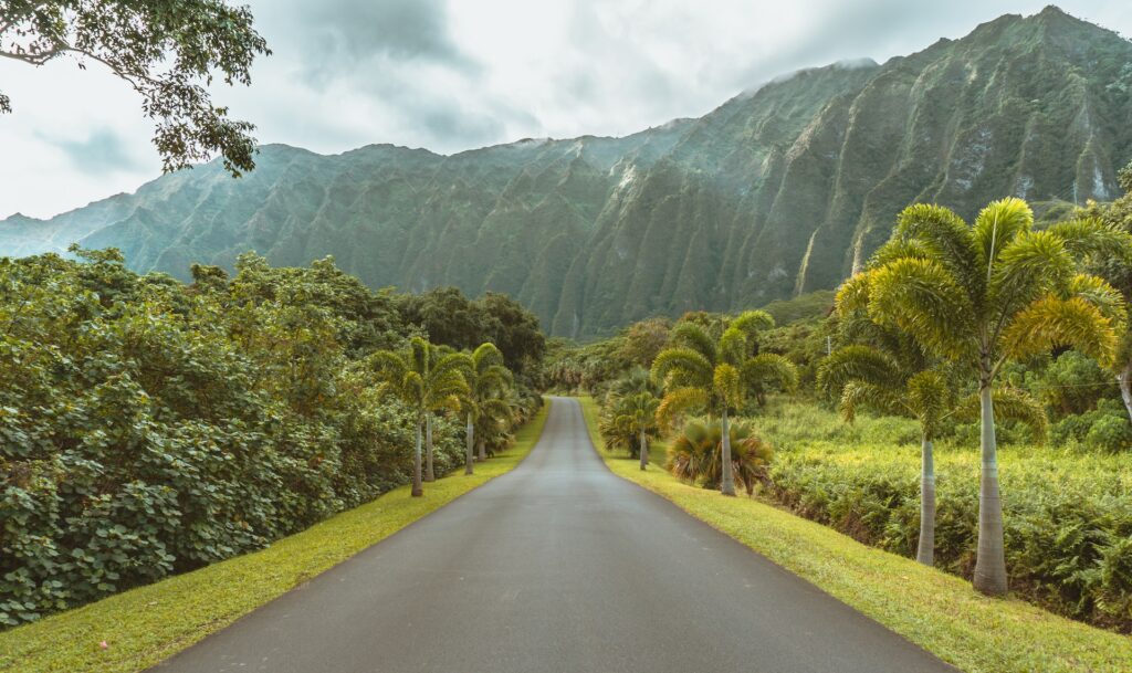 ハワイ旅行の保険と安全対策