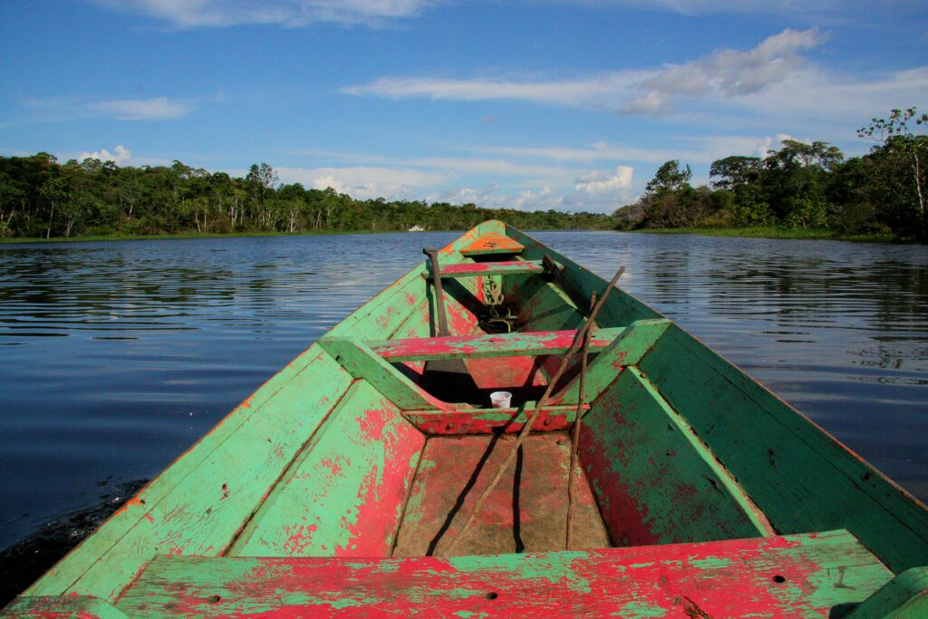 まとめ：アマゾン川、一度は訪れてみたい壮大な自然の世界