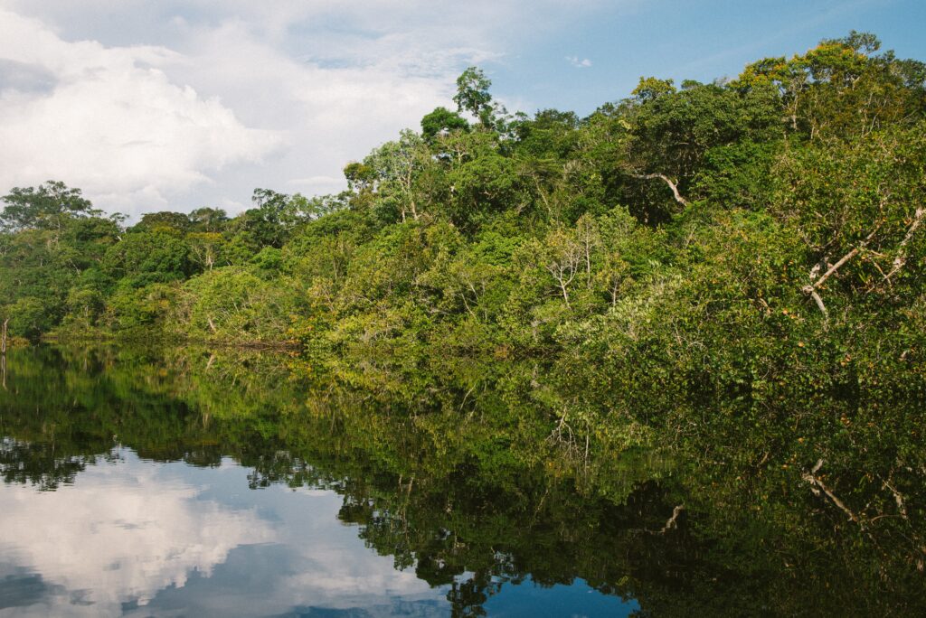 アマゾン川観光の魅力