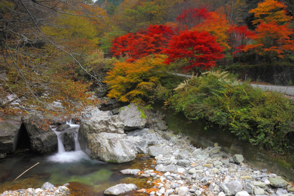 奈良・紅葉のみたらい渓谷