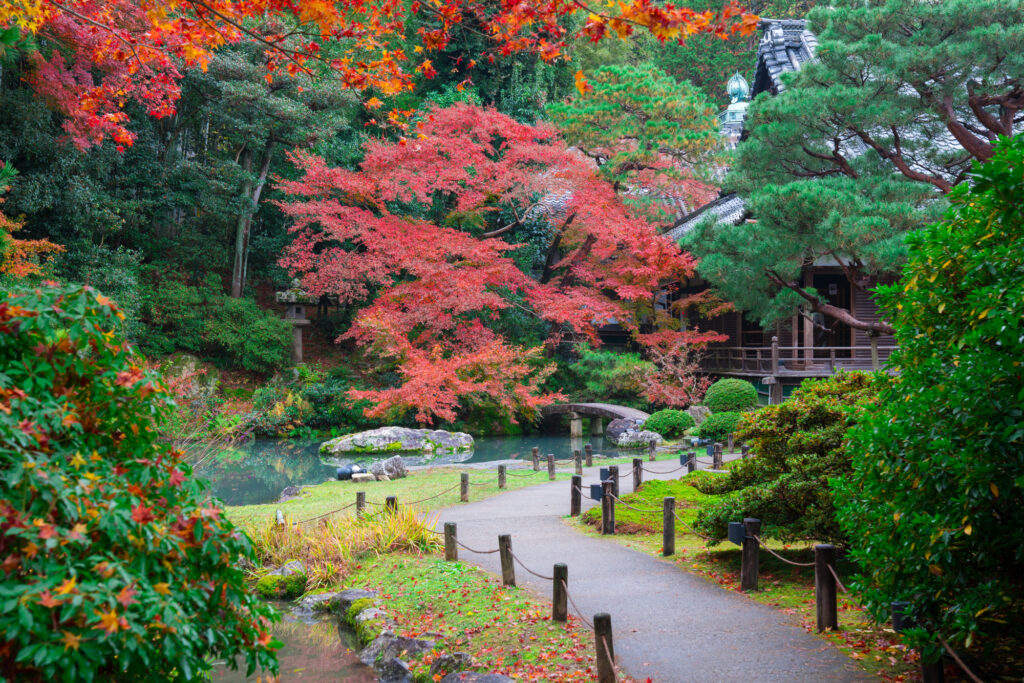 紅葉が美しい青蓮院門跡の散歩道