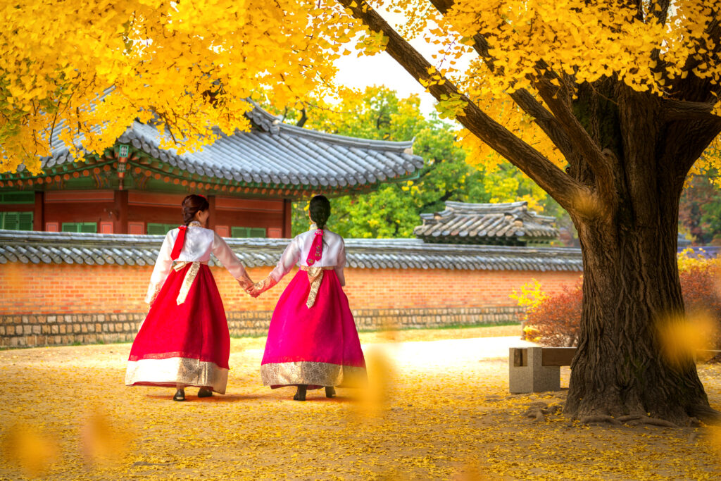 韓国の伝統衣装を着る女性とイチョウの木