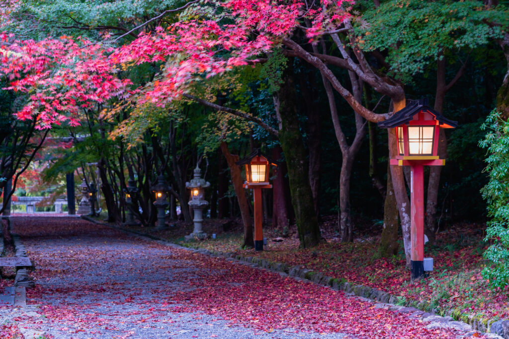 京都のデートスポット