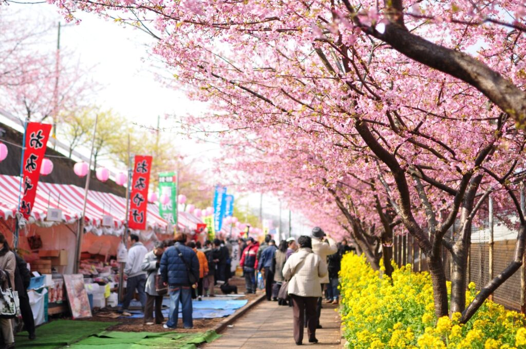 桜まつりの様子