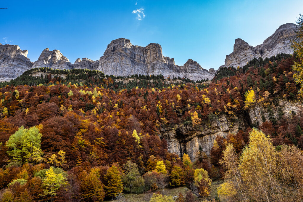 Autumn view of beautiful nature in Ordesa and Monte Perdido NP, Pyrenees, Aragon in Spain.