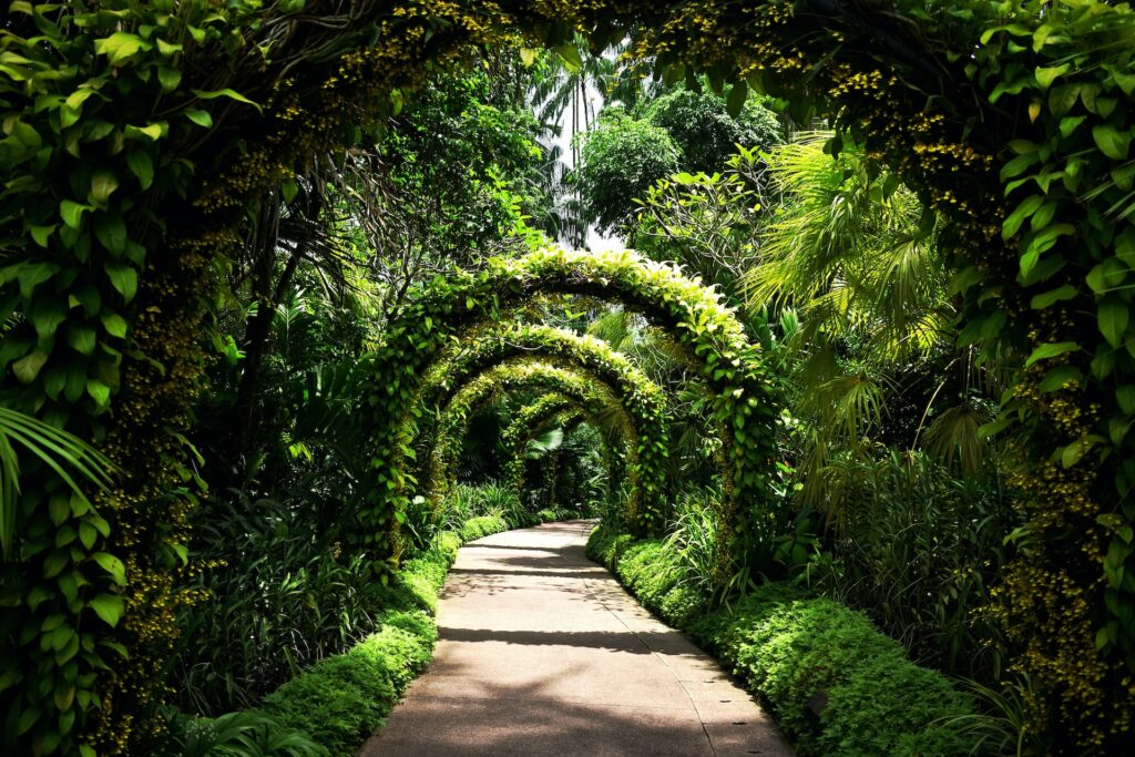 シンガポール植物園(ボタニック・ガーデン)