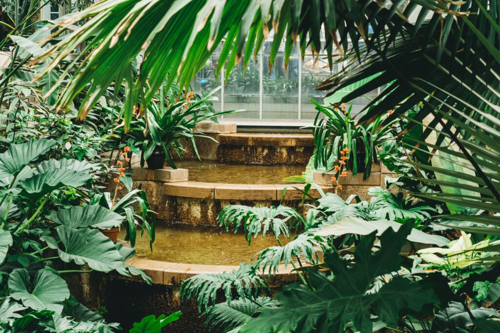 サンパウロ植物園