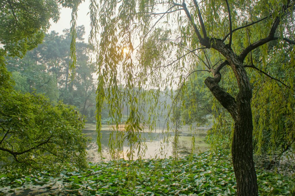 杭州の自然的な観光スポット
