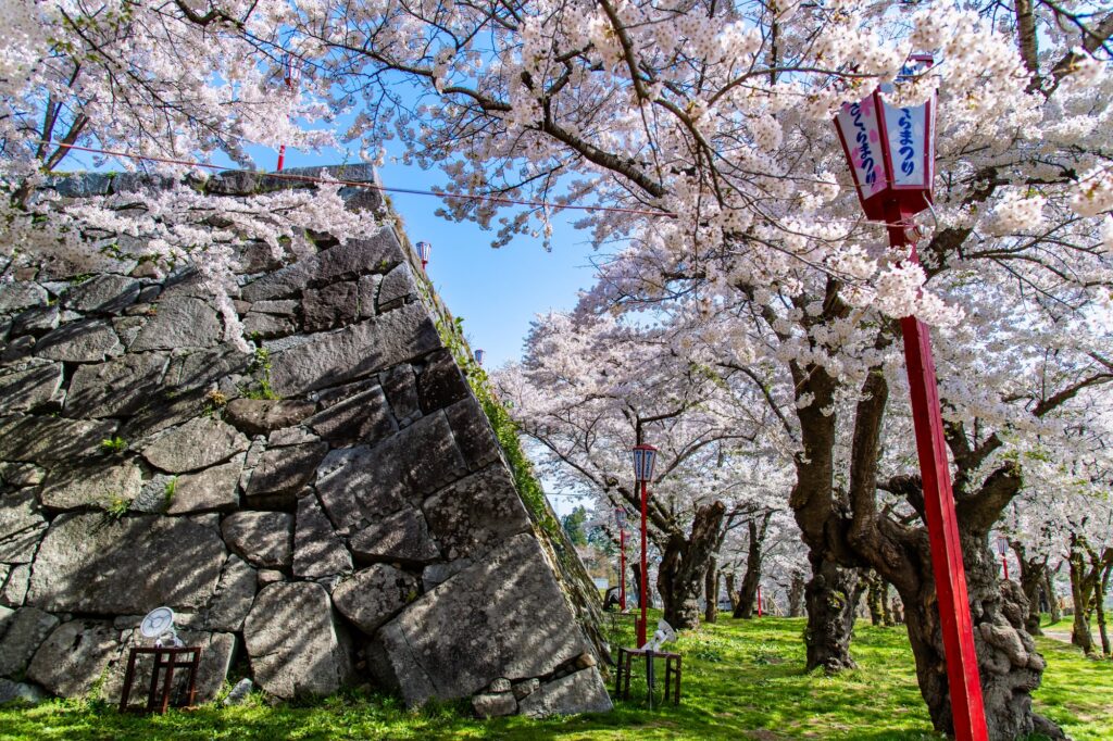 盛岡城跡公園に咲く桜