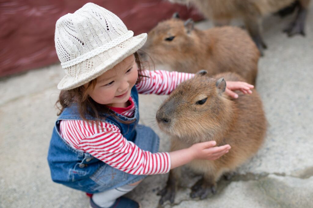 カピバラと触れ合う子供 