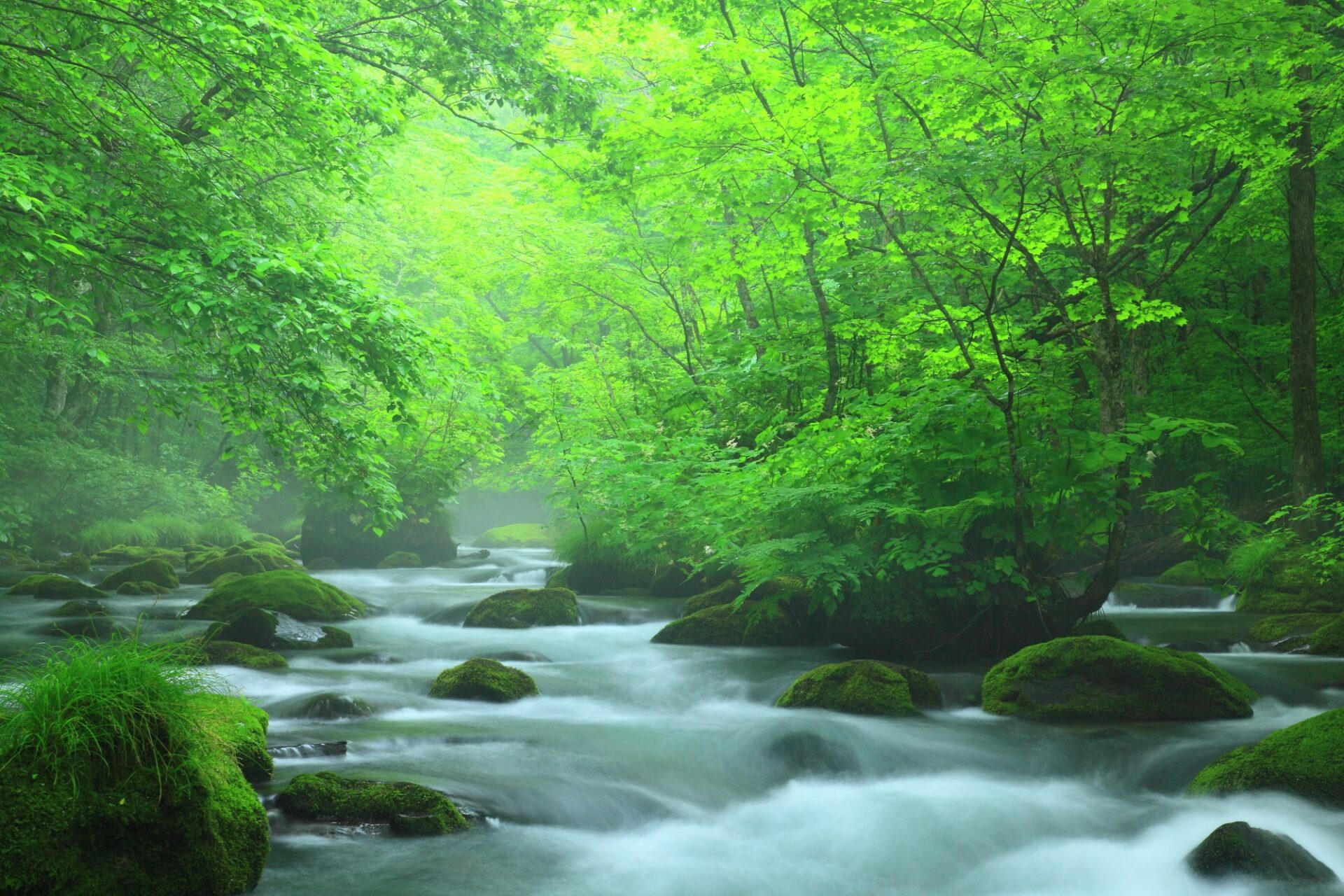 青森県の人気旅行スポット奥入瀬渓流の
