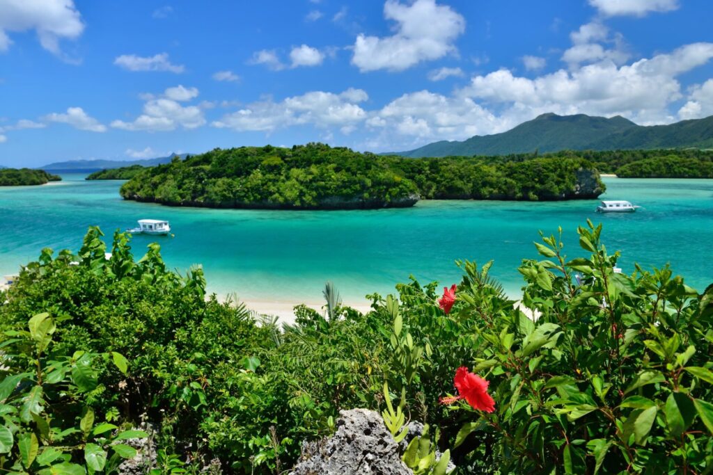  沖縄県石垣島の海の人気観光地の一つ川平湾のハイビスカスとエメラルドグリーンの海