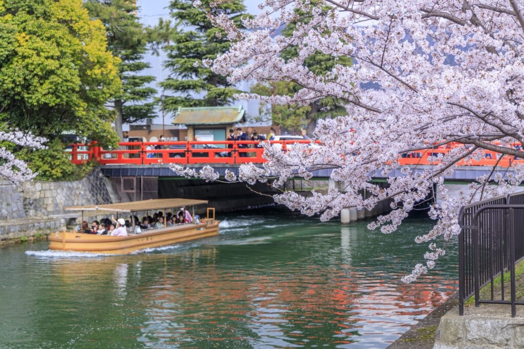 岡崎疎水にて桜を屋形船から楽しむ人々