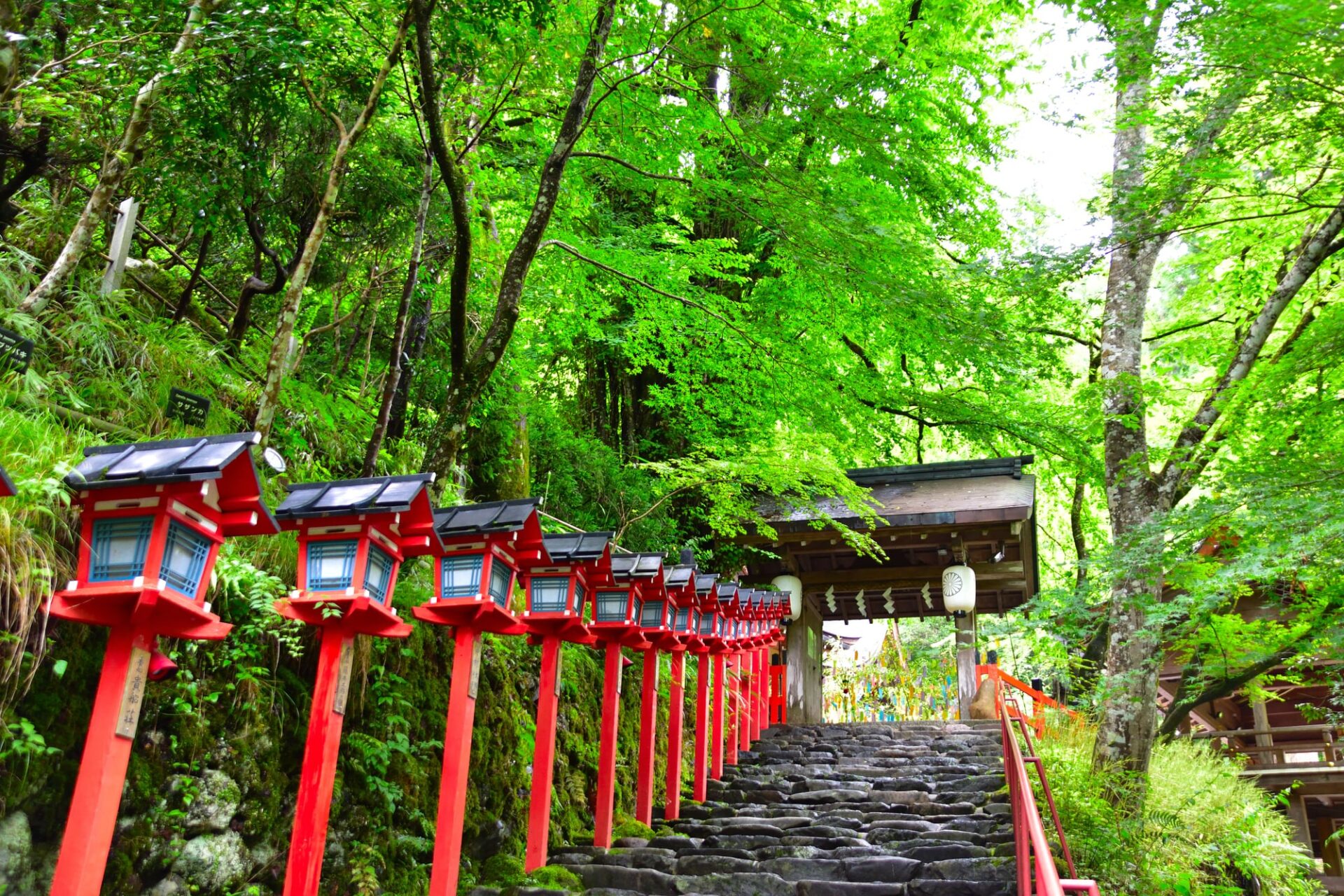 京都観光で歴史と自然を感じる貴船神社