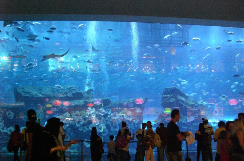 世界最大の水槽がある水族館、ドバイ・アクアリウム&アンダーウォーターズー