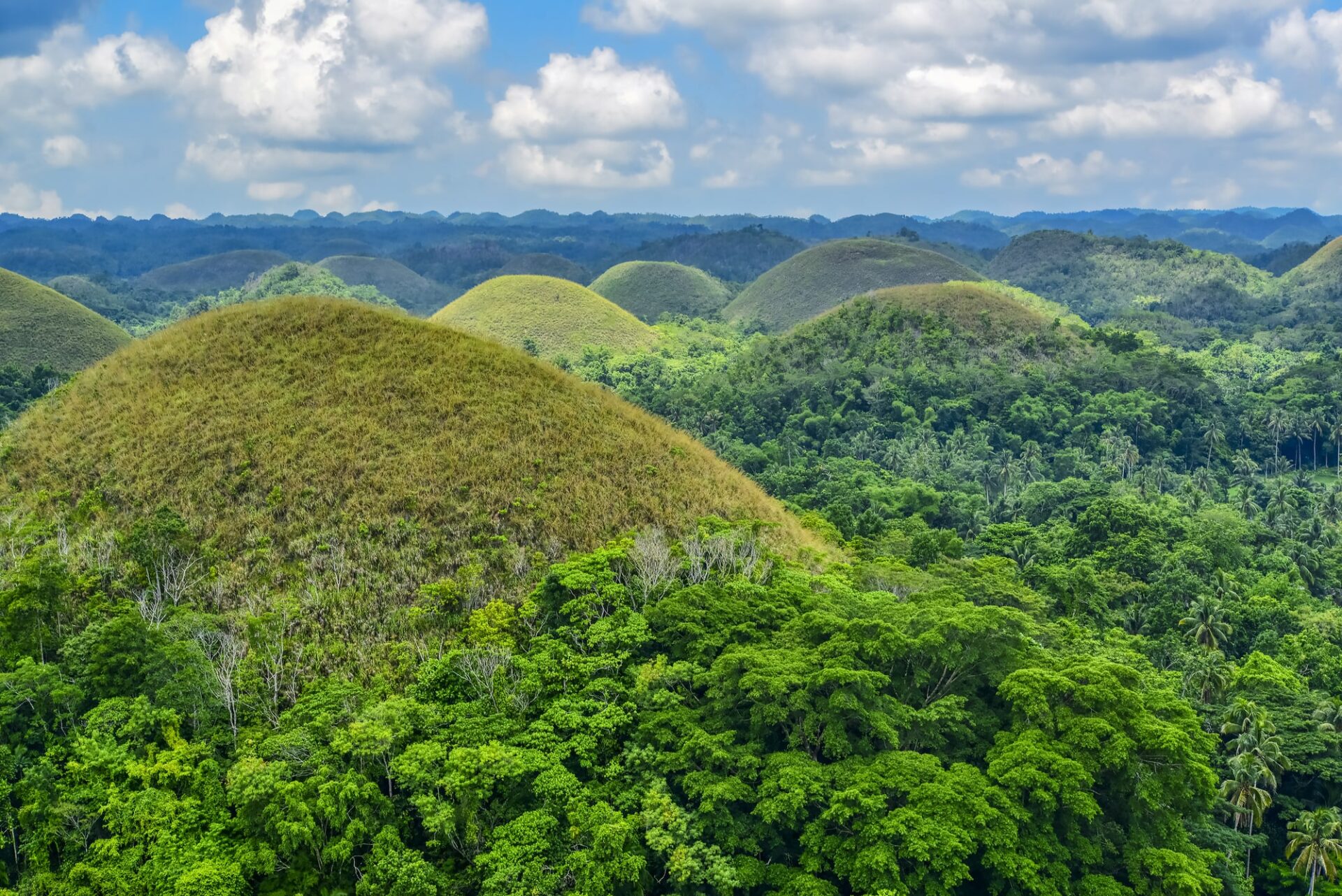 フィリピンボホール州の美しい山々のチョコレートヒルズ